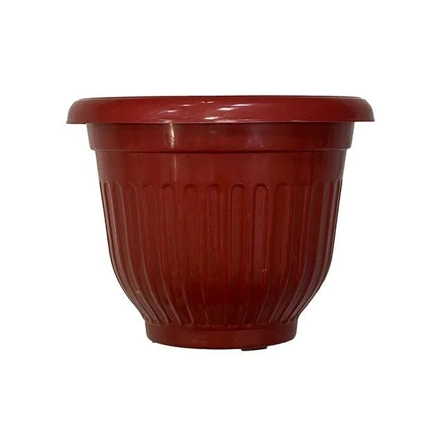 Olive Pots view 4