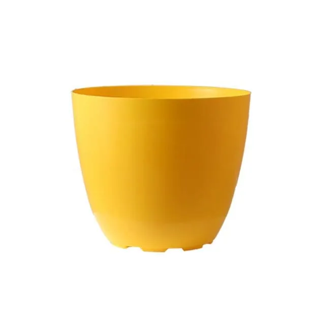 Orchid Round Pot view 6