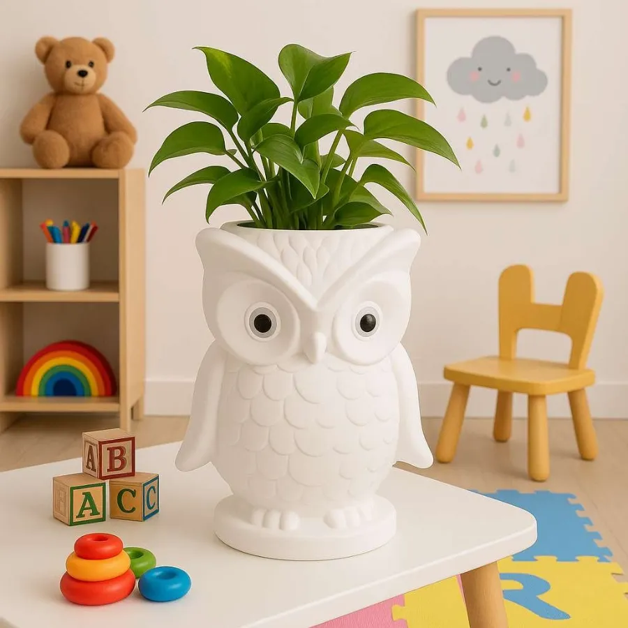 Owl Pots view 9
