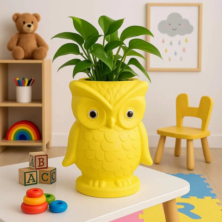 Owl Pots view 7