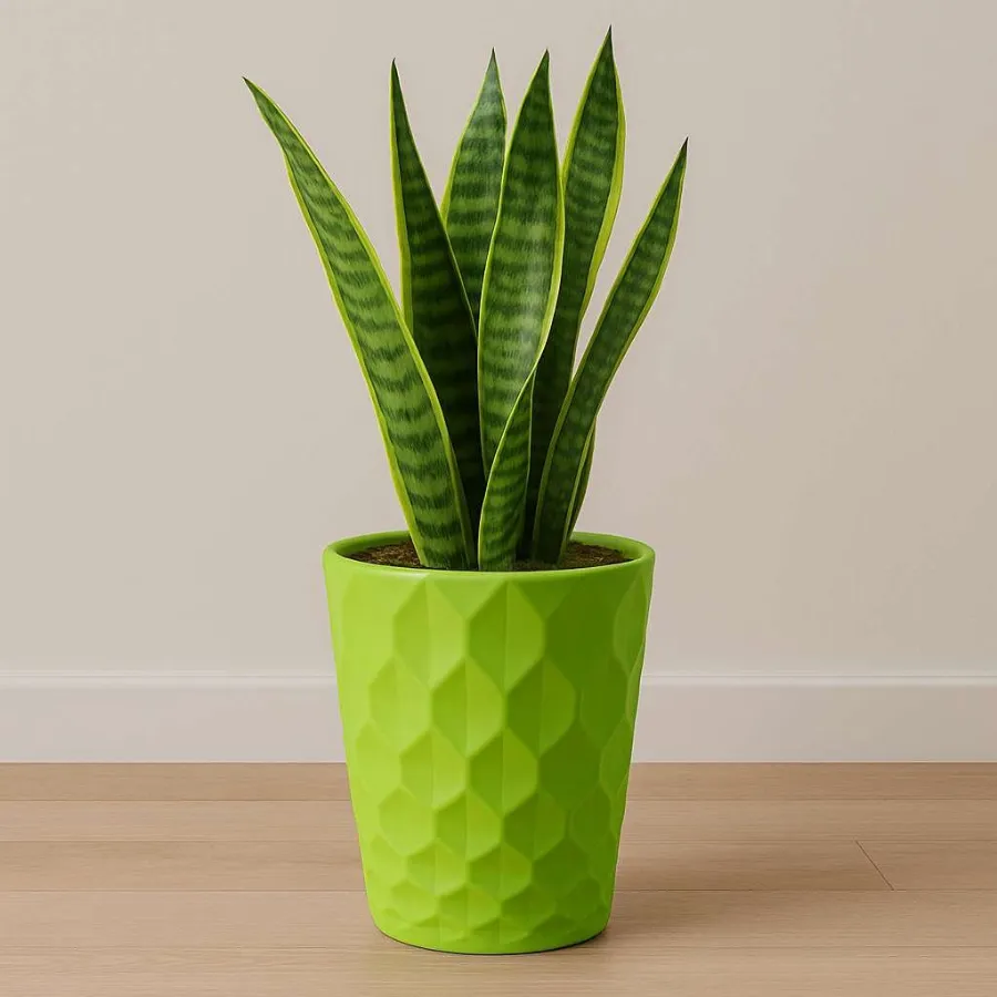 Royal Pots view 9