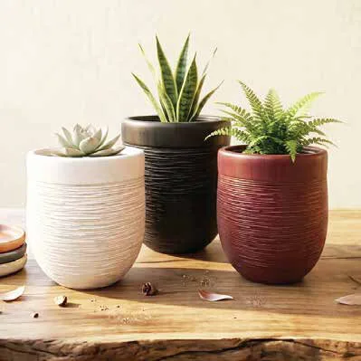Zurich Pots