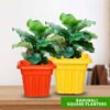 Plastic Planters Manufacturer