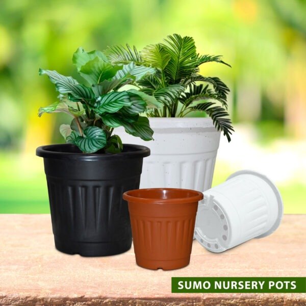 Plastic Potting Plants